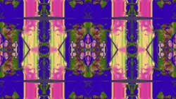 image: image from c new