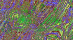 image: image from c new