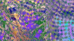 image: image from c new