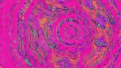 image: image from c new