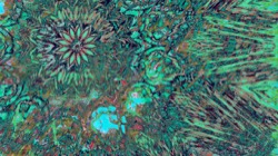 image: image from c new