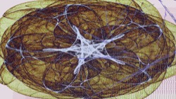 image: image from c new