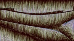 image: image from new 1