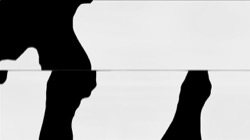 image: image from new 10