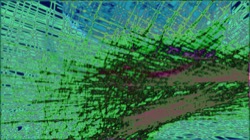 image: image from new 10