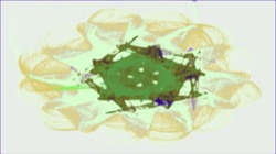 image: image from new 10