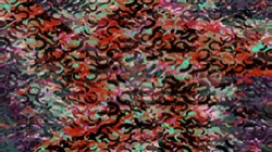 image: image from new 12