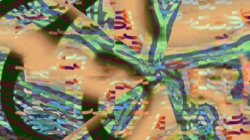 image: image from new 12