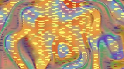 image: image from new 12