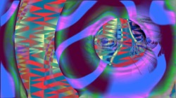 image: image from new 12