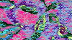 image: image from new 12