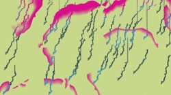 image: image from new 15