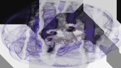 image: image from new 16