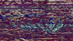 image: image from new 16