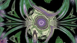 image: image from new 16