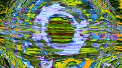 image: image from new 17