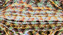 image: image from new 17