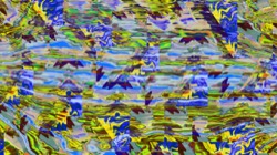 image: image from new 17