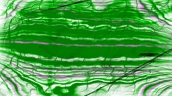 image: image from new 6