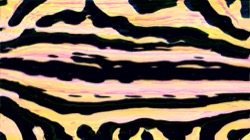 image: image from new 6