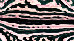 image: image from new 6