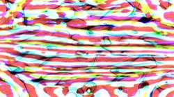 image: image from new 6