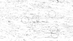 image: image from new 6