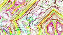 image: image from new 6