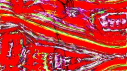 image: image from new 6