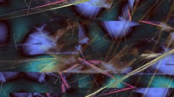 image: image from new 7