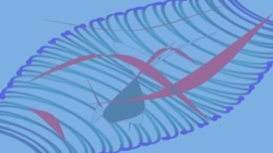 image: image from new 7