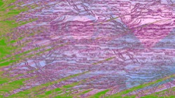 image: image from new 7