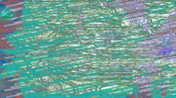 image: image from new 7