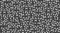 image: image from new 7