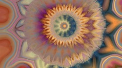 image: image from new 8