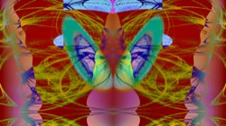 image: image from new 8