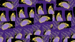 image: image from new 8