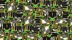 image: image from new 8