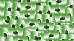 image: image from new 8