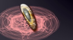 image: image from new 8