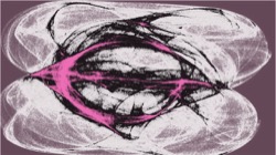 image: image from new 8