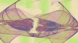 image: image from new 8