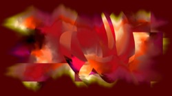 image: image from subdivision