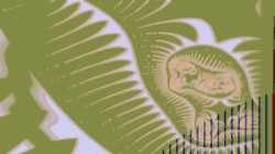 image: image from z1