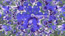 image: image from z1