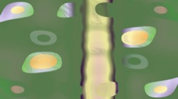 image: image from z1