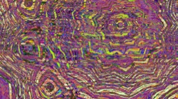 image: image from z2