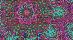 image: image from z2