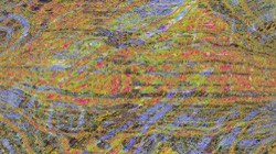 image: image from z2