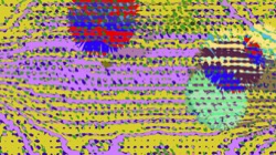 image: image from z2